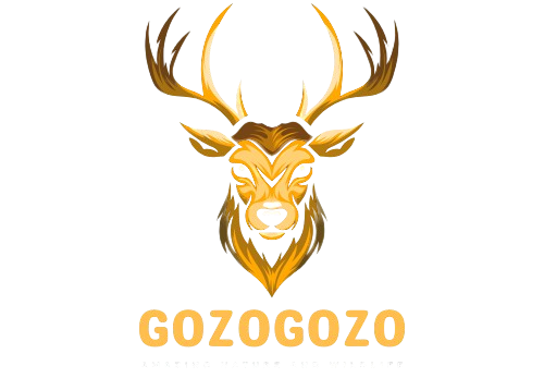 logo-gozogozo